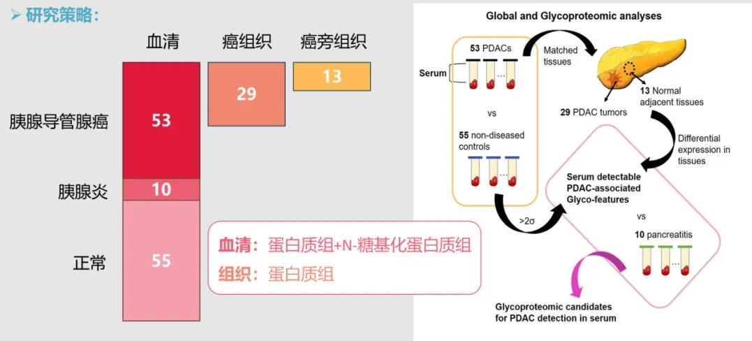 微信截圖_20240723150649.png
