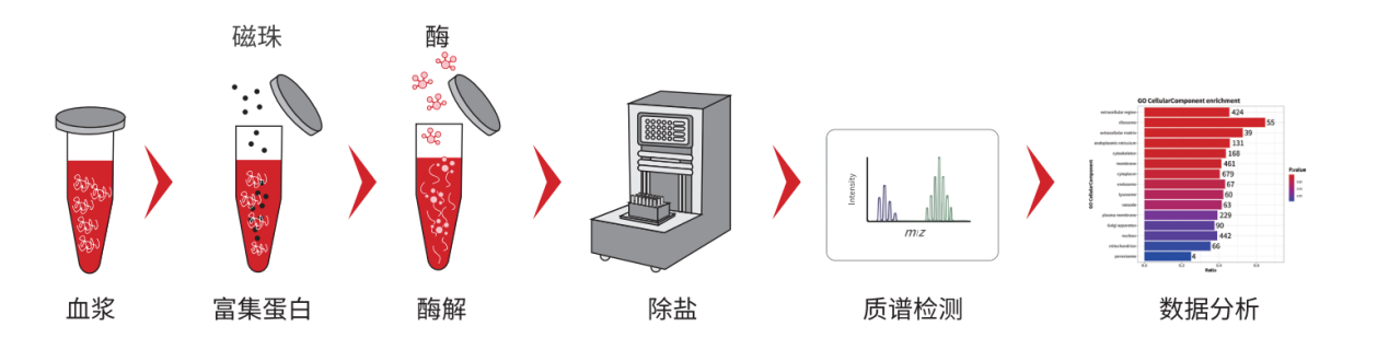 圖片2.png